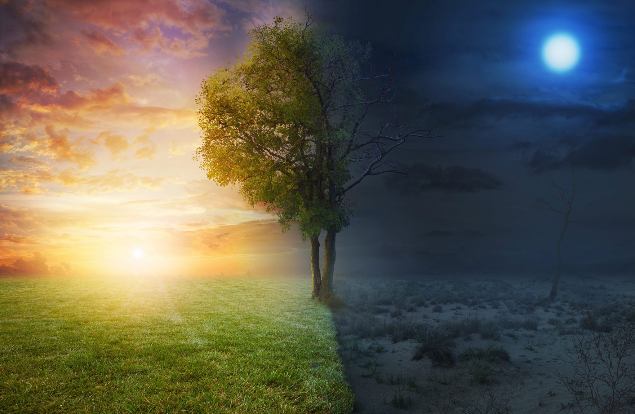 Night And Day Royal Velvet Now