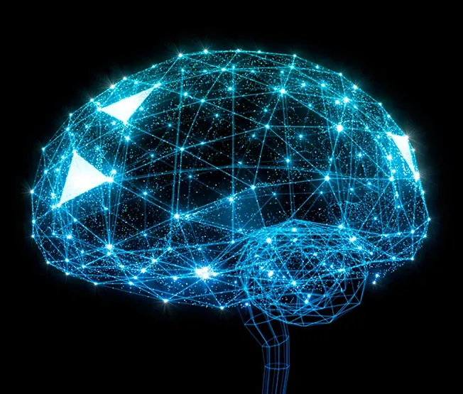 How Deer Antler Velvet Enhances Brain Function & Mental Clarity