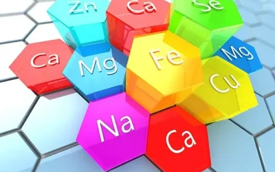 Essential Minerals: The Key to Energy, Immunity & Longevity