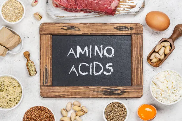 Amino Acids: The Building Blocks of Life and Vitality