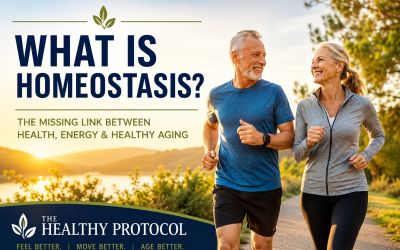 What Is Homeostasis? The Missing Link Between Health, Energy, and Healthy Aging